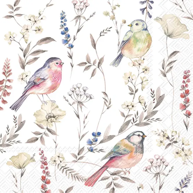 Hovedbilde Servietter Softly Faded Birds Lunch