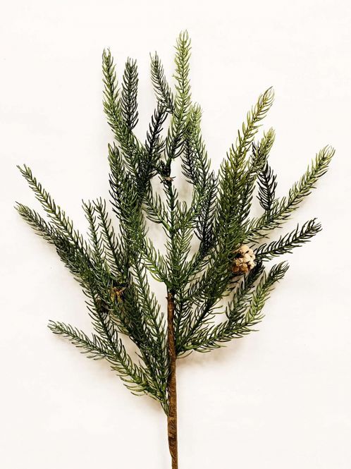 Bilde av Gren barnål/kongler 55 cm