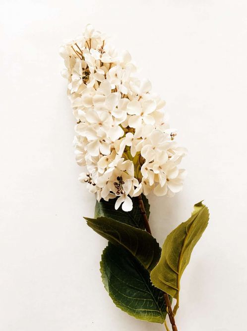 Hovedbilde Syrinhortensia 80 cm creme