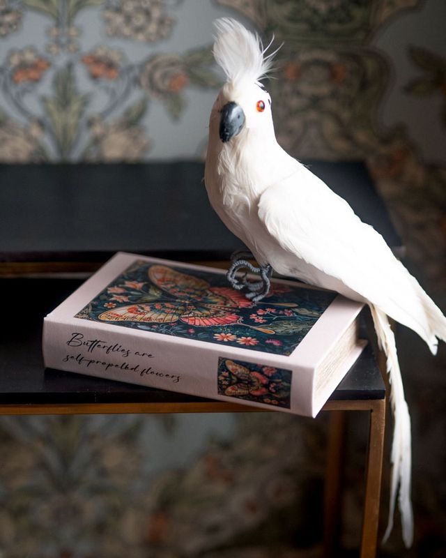 Bokboks Fjæril – dekorativ oppbevaring | 24 cm