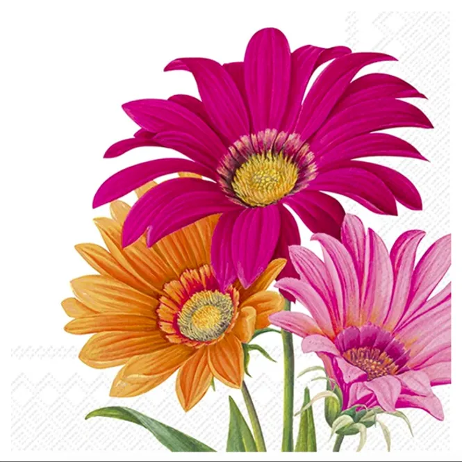 Hovedbilde Serviett Lunsj Joyful Gerbera White