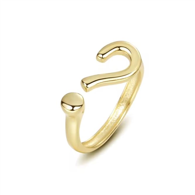 Hovedbilde Why Ring 18K Gold One Size