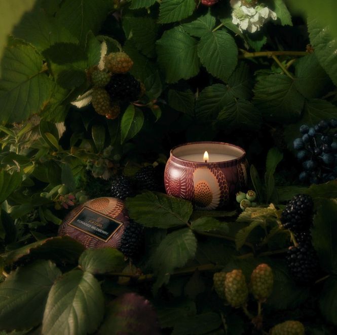 Hovedbilde Voluspa Mini Tin candle - Foraged Wildberry