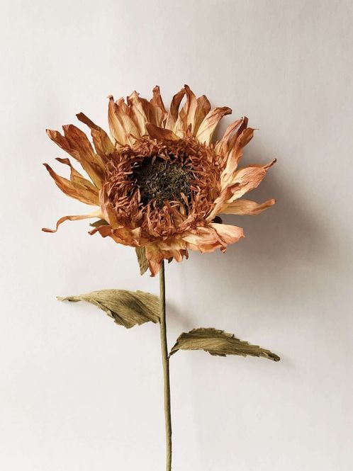 Hovedbilde Papirblomst solsikke h 70 cm gul