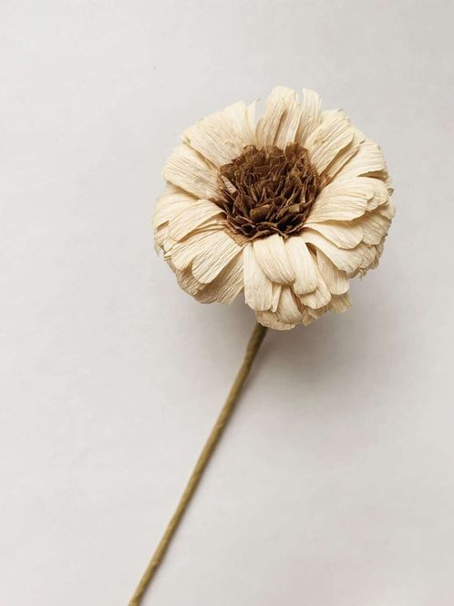 Hovedbilde Papirblomst gerbera 30 cm sand