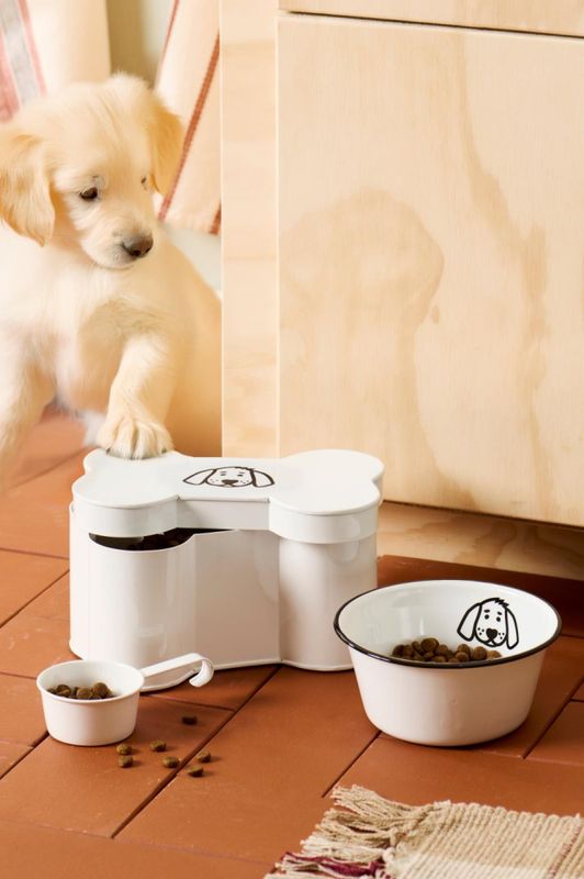 Boks formet som et kjøttbein med hundemotiv og målebeger