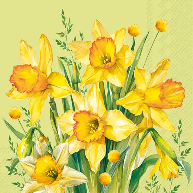 Hovedbilde Servietter Narcissus Bouquet Green Lunch